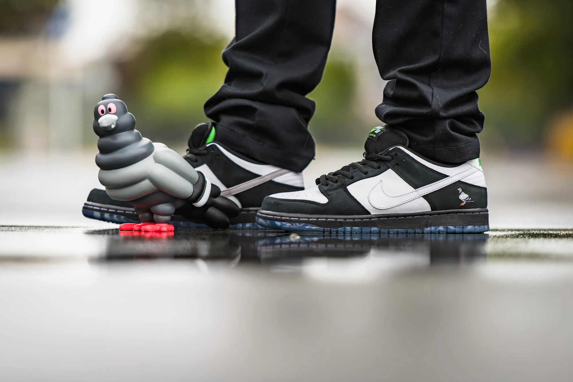 Panda pigeon dunks new arrivals